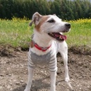 菜の花をバックに＾＾