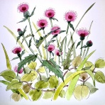 てくてくスケッチブック