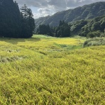 酢を造るといふ仕事｜富士酢醸造元　飯尾醸造