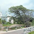 函館の旅（３）