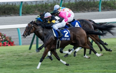 『ストレイトガールが混戦に断！ GⅠ・2勝目！/スプリンターズステークス』の画像