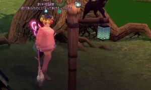 黒猫様の登る街灯、叩くことができない