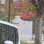 まさげ店長のブログ