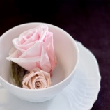 『人生の振り返り』の画像