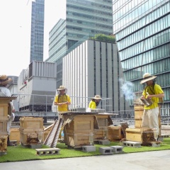 東京・大手町のビル屋上で養蜂を学ぶ 丸の内ハニープロジェクト