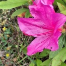 入院生活の様子