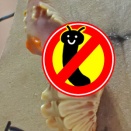 【虫】越冬蛹たちの様子です。(写真記事) ②