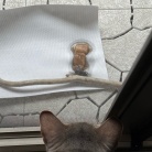 虫さんの季節と、ねこ