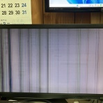 向島ポンポコ日記