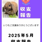 for the RABBIT【保護うさぎの里親探し】