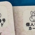【そもそも任意取得だろ】政府 マイナ取得義務化を見送り