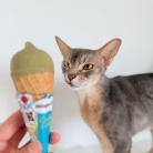 ベーグルサンドのワンプレートランチと、ハーゲンダッツの「鉄観音ミルクティー」