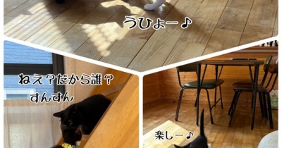 栄光のお届けでした♪