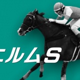 『エルムＳ(G3)【掟破りの金になる話】』の画像