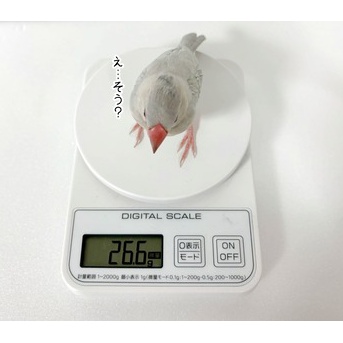 久しぶりに体重測定をしてみたら…