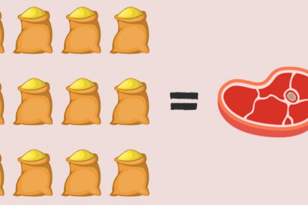 Carpenters Crystal Lullaby やさしいthe Beatles入門