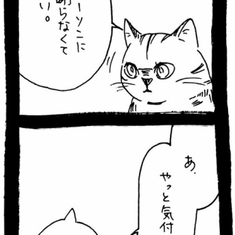 仲直り大作戦〜ﾈｺﾁｬﾝの策略〜49