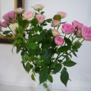 2,200　感謝の？ピンクの薔薇。