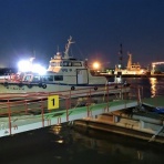 旅・食・酒・そして猫