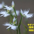 暦‐2026年7月25日