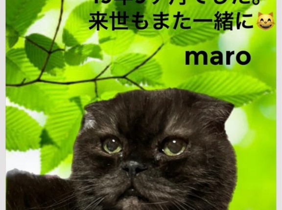 MARO様19歳、天国支部へ🌈🌈🌈