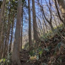 函館山トレイルラン