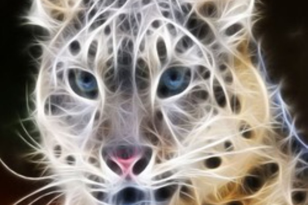 壁紙 幻想的な動物の壁紙 Part2 あにまるワロス