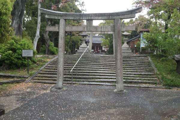 ニャニャニャな生活 神社 高槻市
