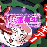 『【小5・中受】新受験アイテム「心臓模型」ゲット!』の画像