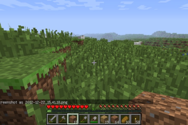 羽虫がマインクラフト 12