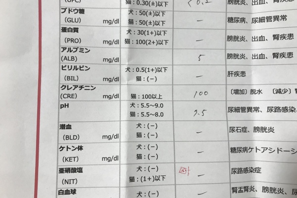 イヌじゃないの、ムスメなの☆ - 病気、健康関係