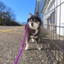 さぁ、どうする？