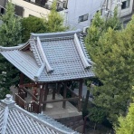 １０年先には