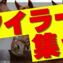 【競馬予想】富士ステークス【2026年】