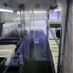 温泉めだかのブログ