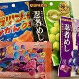 『遠足前夜、グミに支配された我が家。』の画像