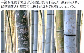 【京都】「先祖代々の土地を…」伏見稲荷大社周辺で竹林の落書き被害少なくとも数百本 所有者怒り　英語やハングル、中国語に日本語も