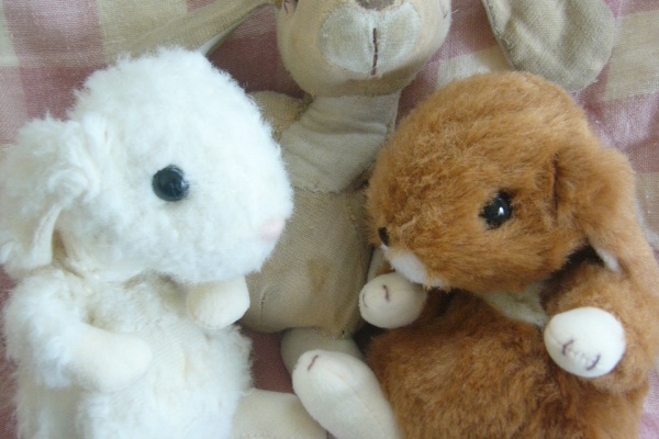 ぽれぽれふぅちゃん みもちゃん