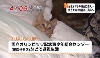 ネットで拾った変な画像『スパイ時代のプーチン』