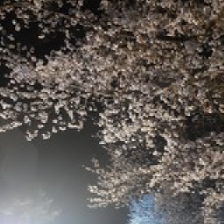 Ｌａ２４４～第２スタヂアム