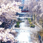 高橋清隆の文書館