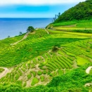 石川県が快挙！『BBC』が『2026年に訪れたい旅行先ベスト20』を発表！日本からは石川県が選出！