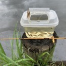 タナゴ釣りのミャク竿とはどんな竿なのか