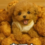 ルクログ LXXIお仕事日記