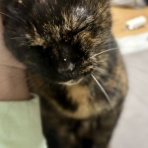 ショウザンビル　【大阪アメリカ村】