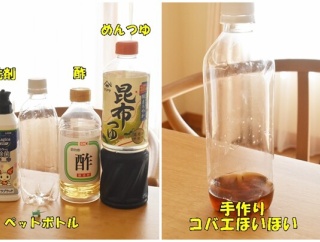 簡単で効果抜群！手作り「コバエほいほい」の作り方｜家にある材料でできる生活の知恵♬