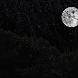 死ぬ程洒落にならない怖い話を集めてみない？『あるナイフの由来』