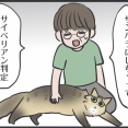 iPhoneのカメラロールでマロちゃんを識別してもらったら