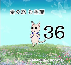 麦の旅お空編36
