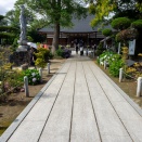 episode2861…能護寺へ紫陽花を見に行ってきた。